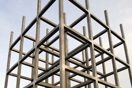 Enlarged view of image