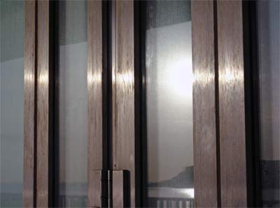 Enlarged view of image